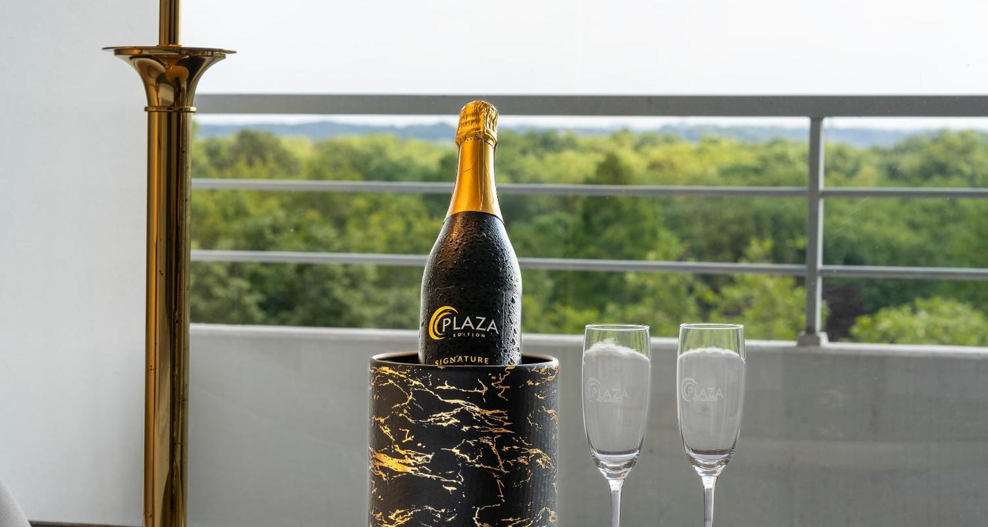Plaza Hotel 4*